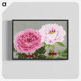 1-1_The-Picture-Book-of-Peonies_blk-crop