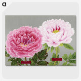 1-1_The-Picture-Book-of-Peonies_picture-crop