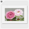 1-1_The-Picture-Book-of-Peonies_picture