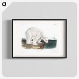 1-1_The-Viviparous-Quadrupeds_blk