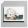 1-1_The-Viviparous-Quadrupeds_canvas