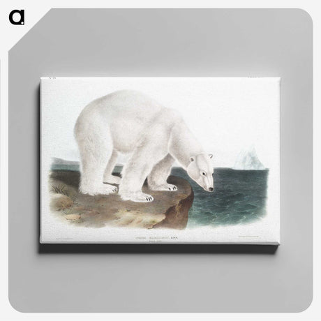 1-1_The-Viviparous-Quadrupeds_canvas