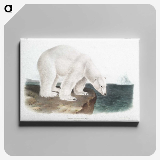 1-1_The-Viviparous-Quadrupeds_canvas