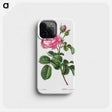 1-1_Treatise-on-Trees-and-Shrubs_phone