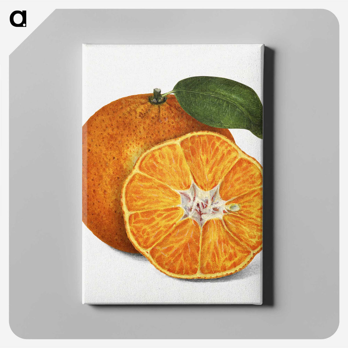 1-1_USDA-Watercolor-Fruit-Painting-Collection_canvas