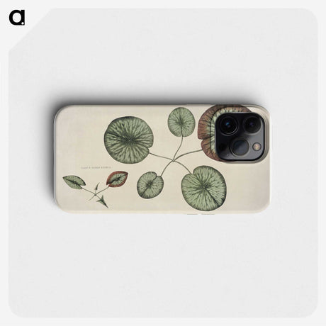 1-1_Victoria-Regia_phone