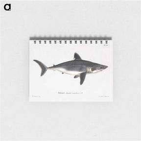 アートメモ帳-Porbeagle, female - ヴィルヘルム フォン ライト Memo.