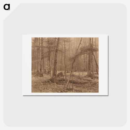 Engraving of Silence (1883) by William Bliss Baker. - ウィリアム ブリス ベイカー Postcard.