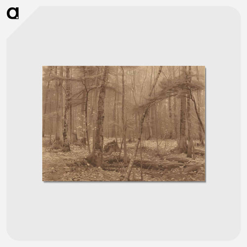 Engraving of Silence (1883) by William Bliss Baker. - ウィリアム ブリス ベイカー Postcard.