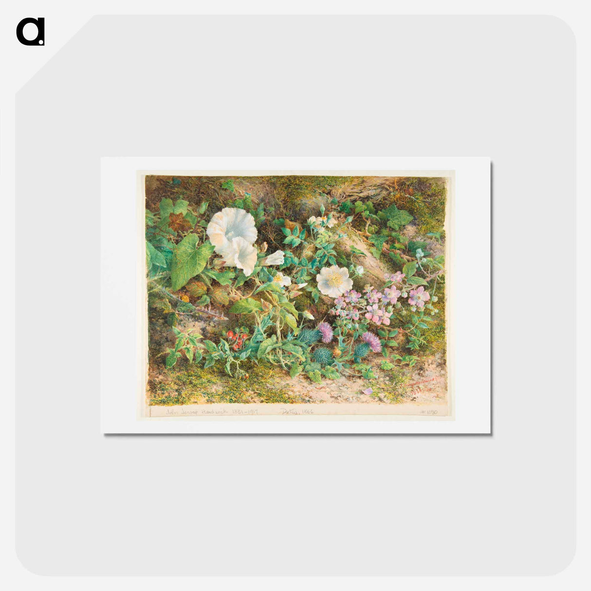 アートポストカード-Flower Study - ウィリアム ヘンリー ハント Postcard.