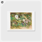アートポストカード-Flower Study - ウィリアム ヘンリー ハント Postcard.