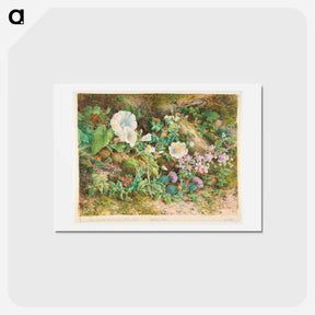 アートポストカード-Flower Study - ウィリアム ヘンリー ハント Postcard.