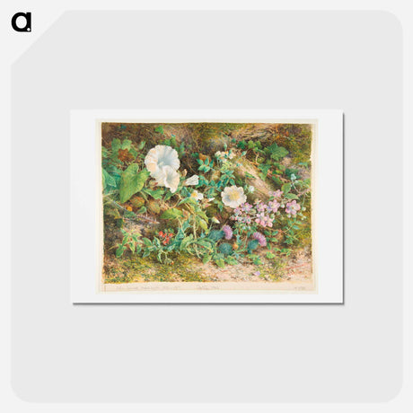 アートポストカード-Flower Study - ウィリアム ヘンリー ハント Postcard.