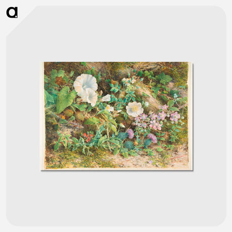 アートポストカード-Flower Study - ウィリアム ヘンリー ハント Postcard.