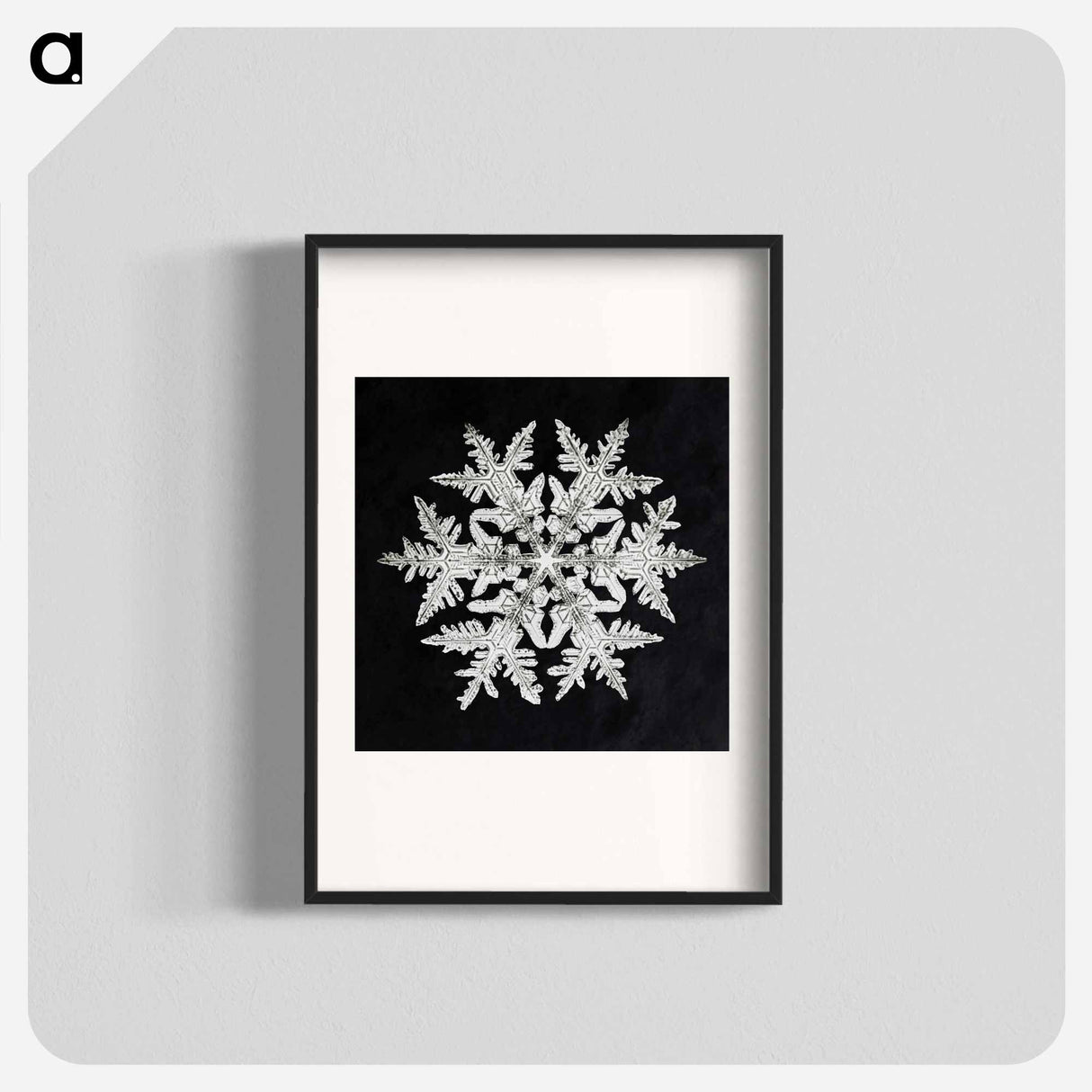 Wilson Bentley's Snowflake 920 - ウィルソン ベントレー Poster.