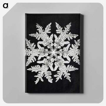 Wilson Bentley's Snowflake 920 - ウィルソン ベントレー Canvas.