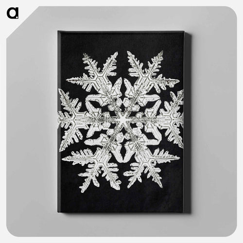 Wilson Bentley's Snowflake 920 - ウィルソン ベントレー Canvas.