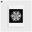 アートポストカード-Wilson Bentley's Snowflake 920 - ウィルソン ベントレー Postcard.