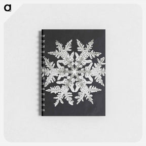 アートメモ帳-Wilson Bentley's Snowflake 920 - ウィルソン ベントレー Memo.