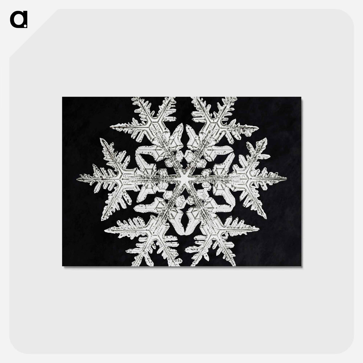 アートポストカード-Wilson Bentley's Snowflake 920 - ウィルソン ベントレー Postcard.