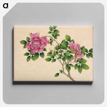 Rose - Zhang Ruoai Canvas.