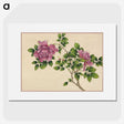 1-1_Zhang-Ruoai_picture