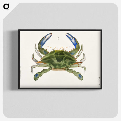 1-1_Zoology-of-New-York_blk-crop