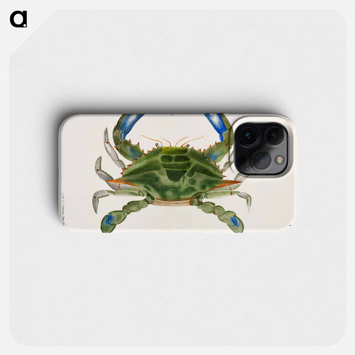 Blue crab (Lupa decanta) illustration from Zoology of New York by James Ellsworth De Kay - ニューヨークの動物学 Phone Case.