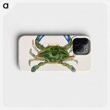 Blue crab (Lupa decanta) illustration from Zoology of New York by James Ellsworth De Kay - ニューヨークの動物学 Phone Case.