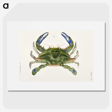 1-1_Zoology-of-New-York_picture