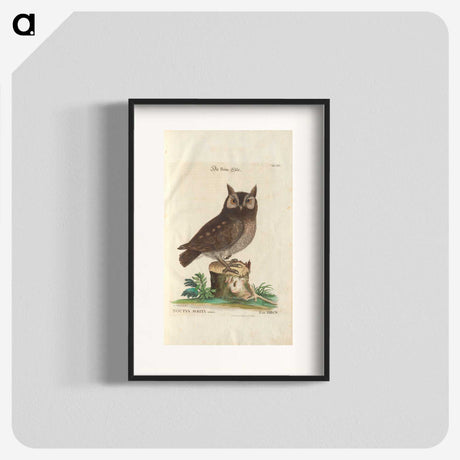 1-1_e-rara_blk