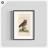 Little owl - イー ララ Poster.