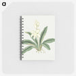 1-20_19th-Century-Japanese-Flowers_memo