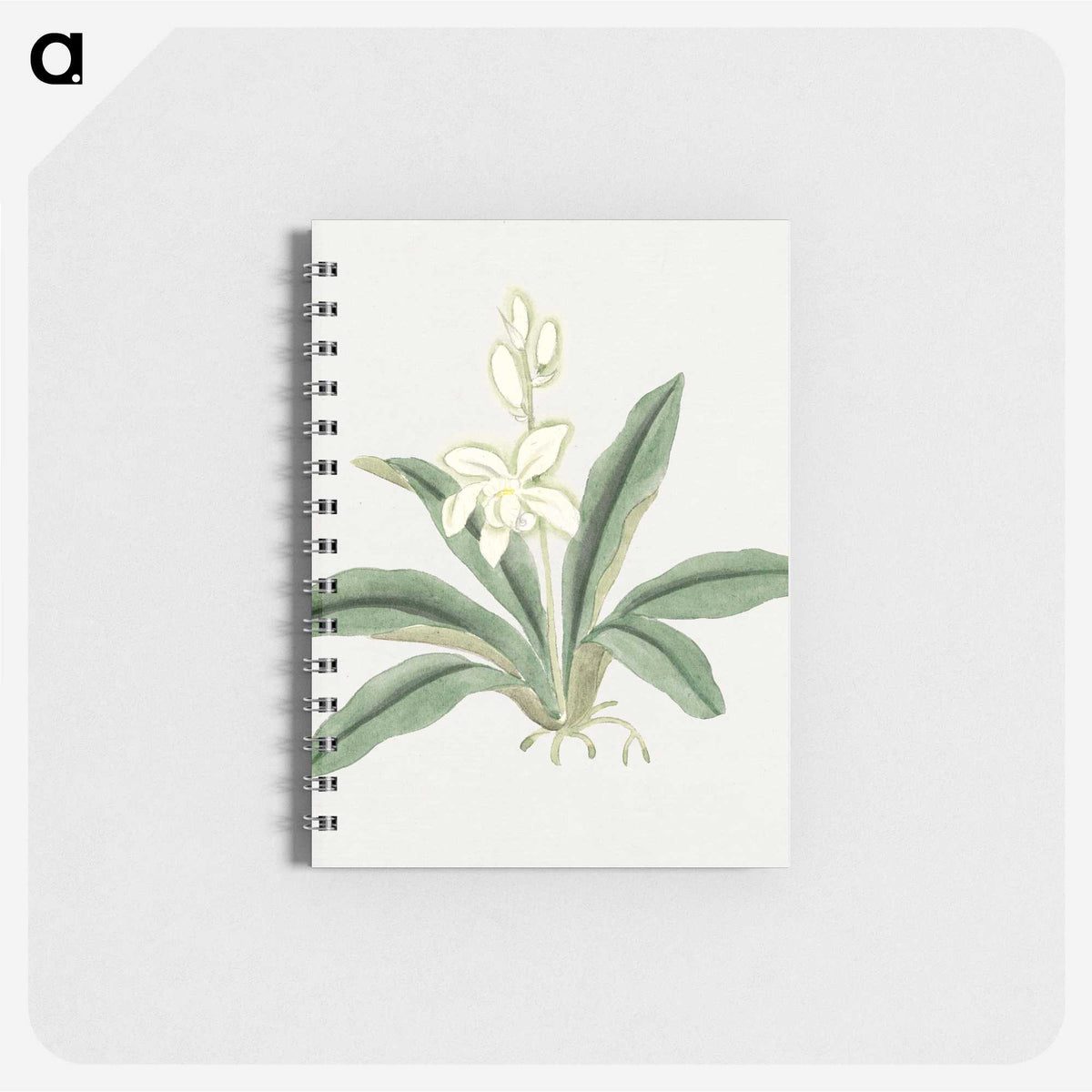 1-20_19th-Century-Japanese-Flowers_memo