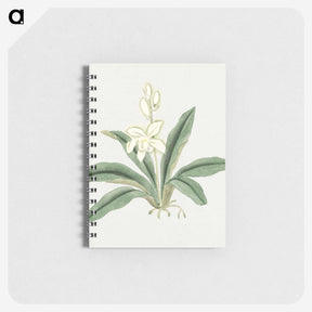1-20_19th-Century-Japanese-Flowers_memo