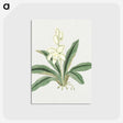 1-20_19th-Century-Japanese-Flowers_postcard