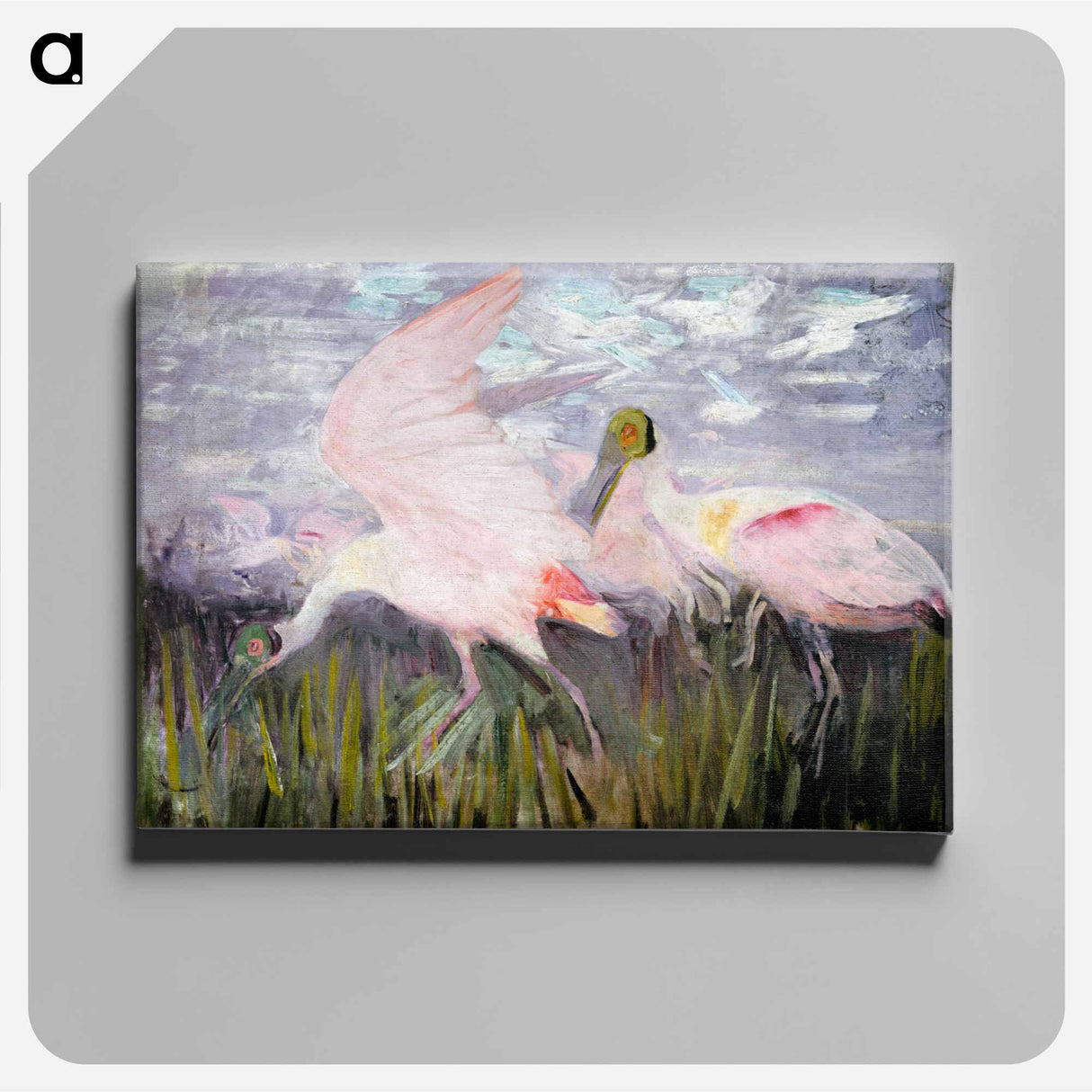 Roseate Spoonbills - アボット ハンダーソン セイヤー Canvas.