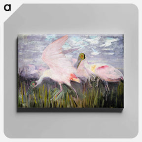 アートパネル-Roseate Spoonbills - アボット ハンダーソン セイヤー Canvas.