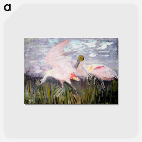 アートポストカード-Roseate Spoonbills - アボット ハンダーソン セイヤー Postcard.