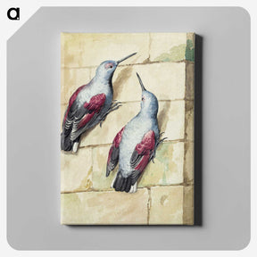1-20_Aert-Schouman_canvas