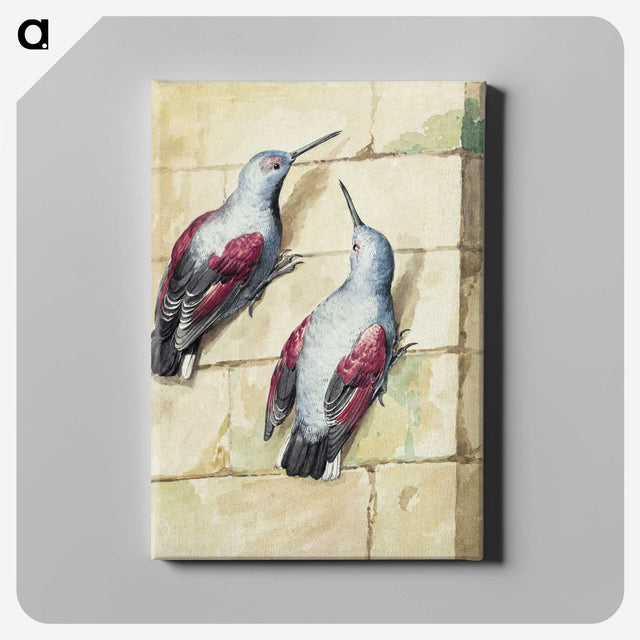 1-20_Aert-Schouman_canvas