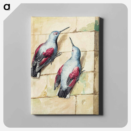 Two wallcreepers - アールト シューマン Canvas.