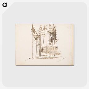 1-20_Albert-Edelfelt_postcard