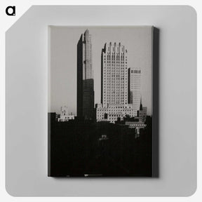 1-20_Alfred-Stieglitz_canvas
