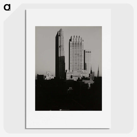1-20_Alfred-Stieglitz_picture