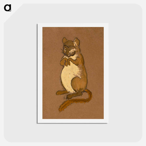 Dormouse Costume Design for Alice in Wonderland - 不思議の国のアリス Postcard.