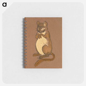 Dormouse Costume Design for Alice in Wonderland - 不思議の国のアリス Memo.