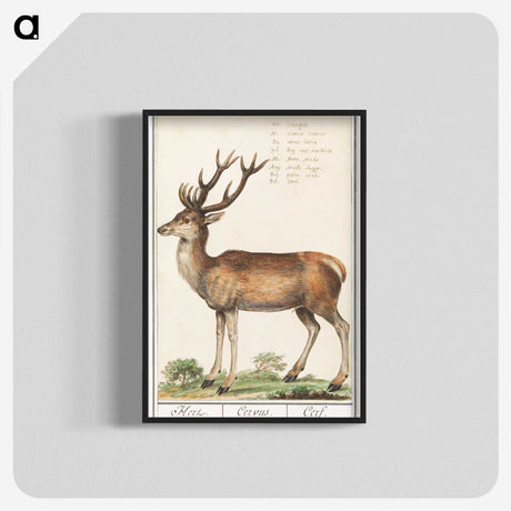 1-20_Anselmus-Boetius-de-Boodt_blk-crop