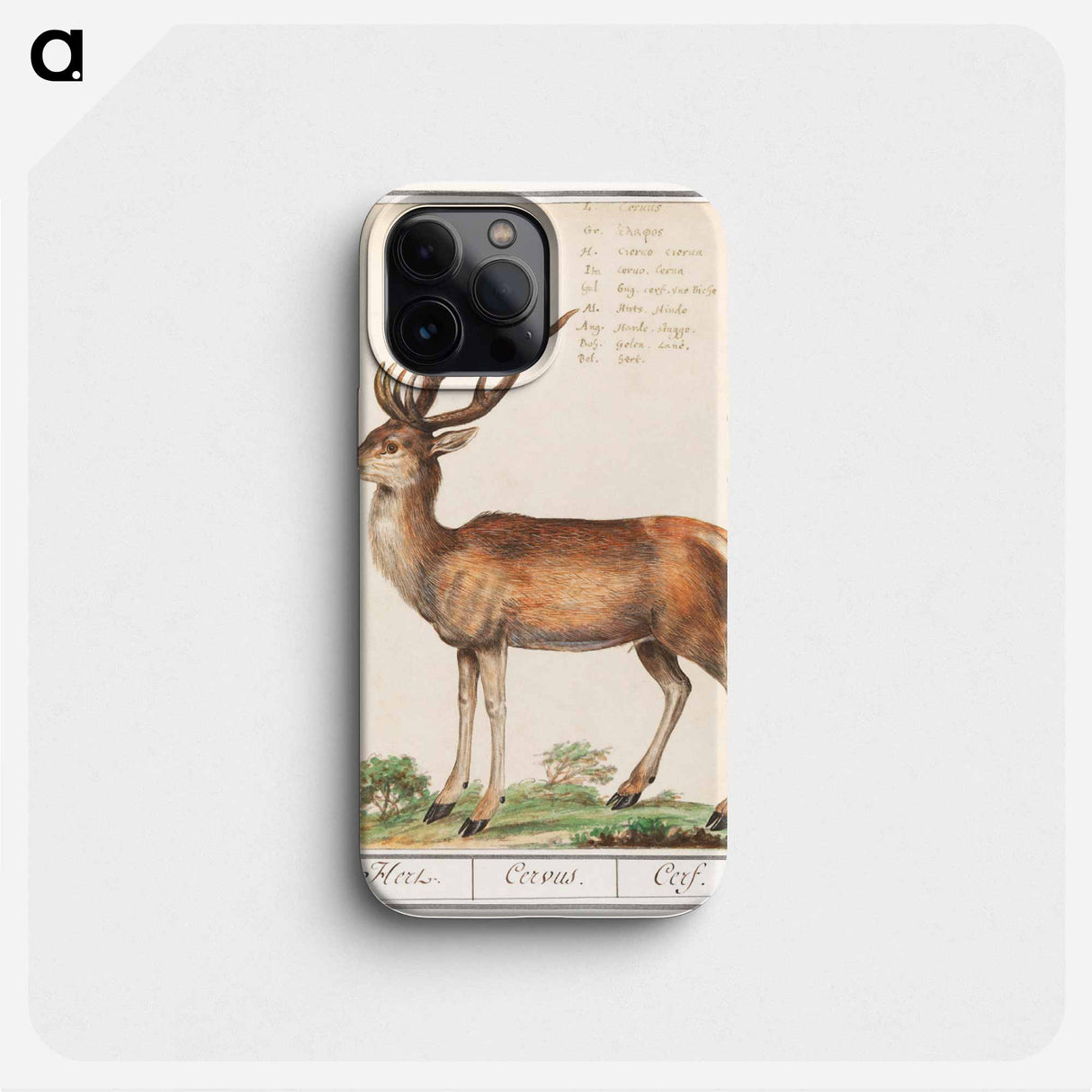 Deer - アンセルムス ボエティウス デ ブート Phone Case.