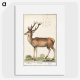 1-20_Anselmus-Boetius-de-Boodt_picture